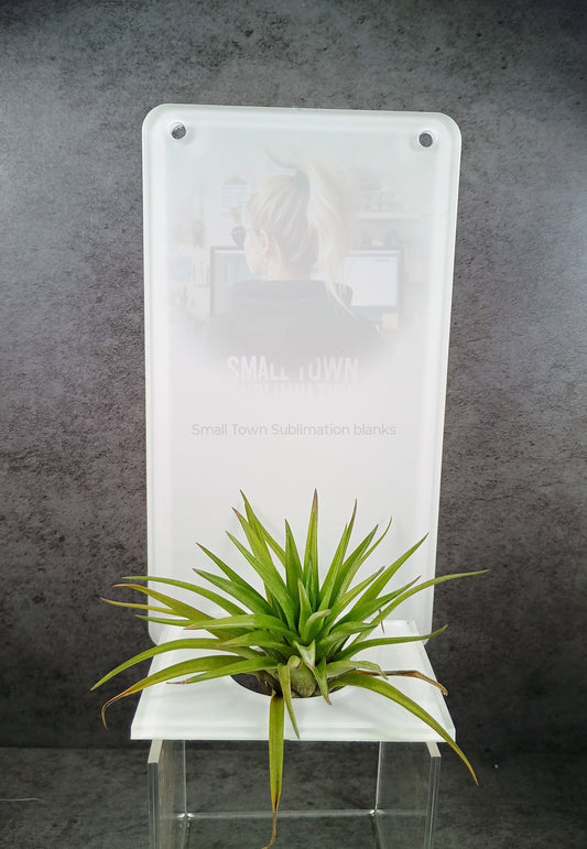 Rectangle acrylic Air plant holder