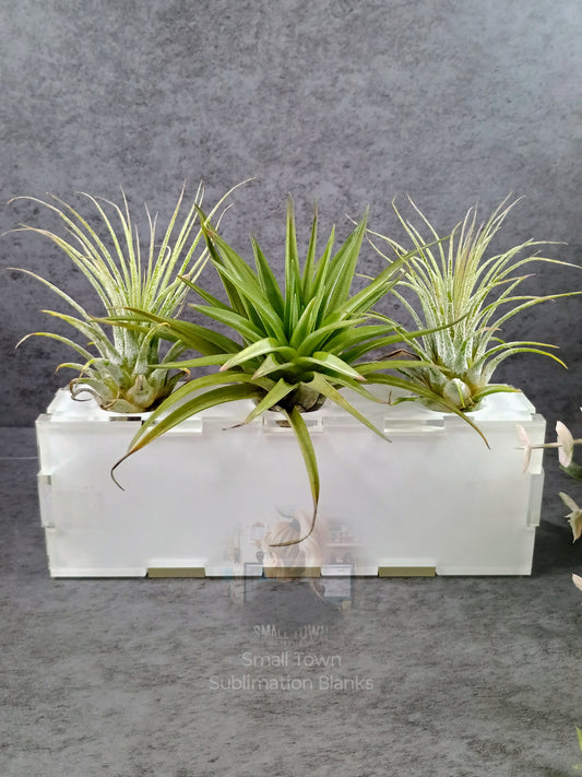 Box shelf sitter acrylic Air plant holder