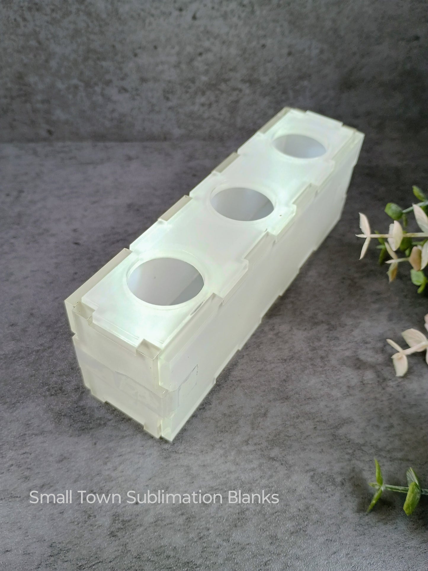 Box shelf sitter acrylic Air plant holder