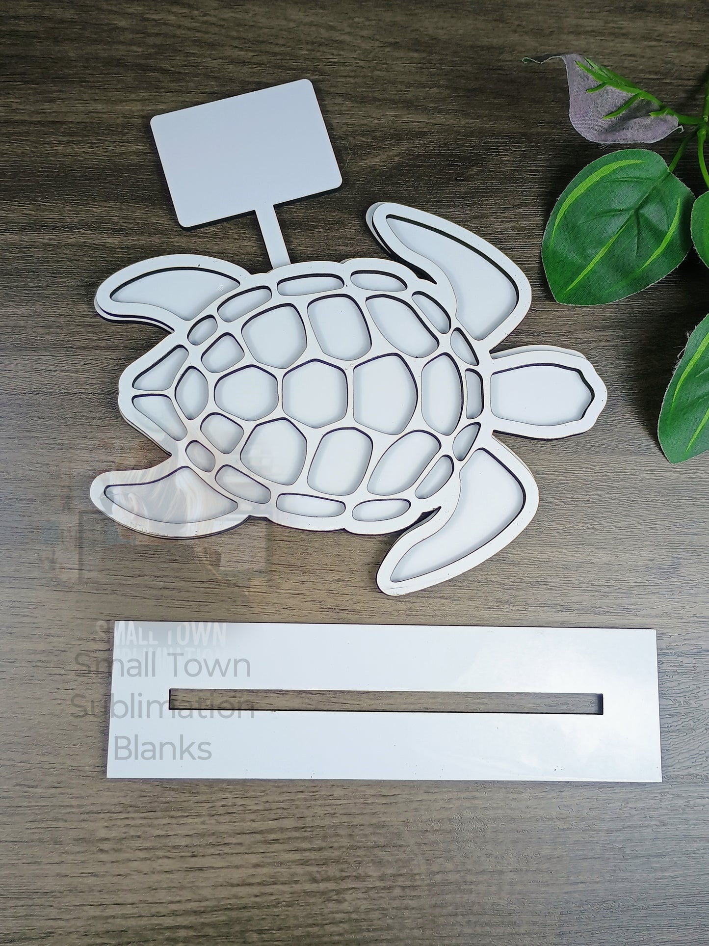 Turtle shelf sitter. Layered