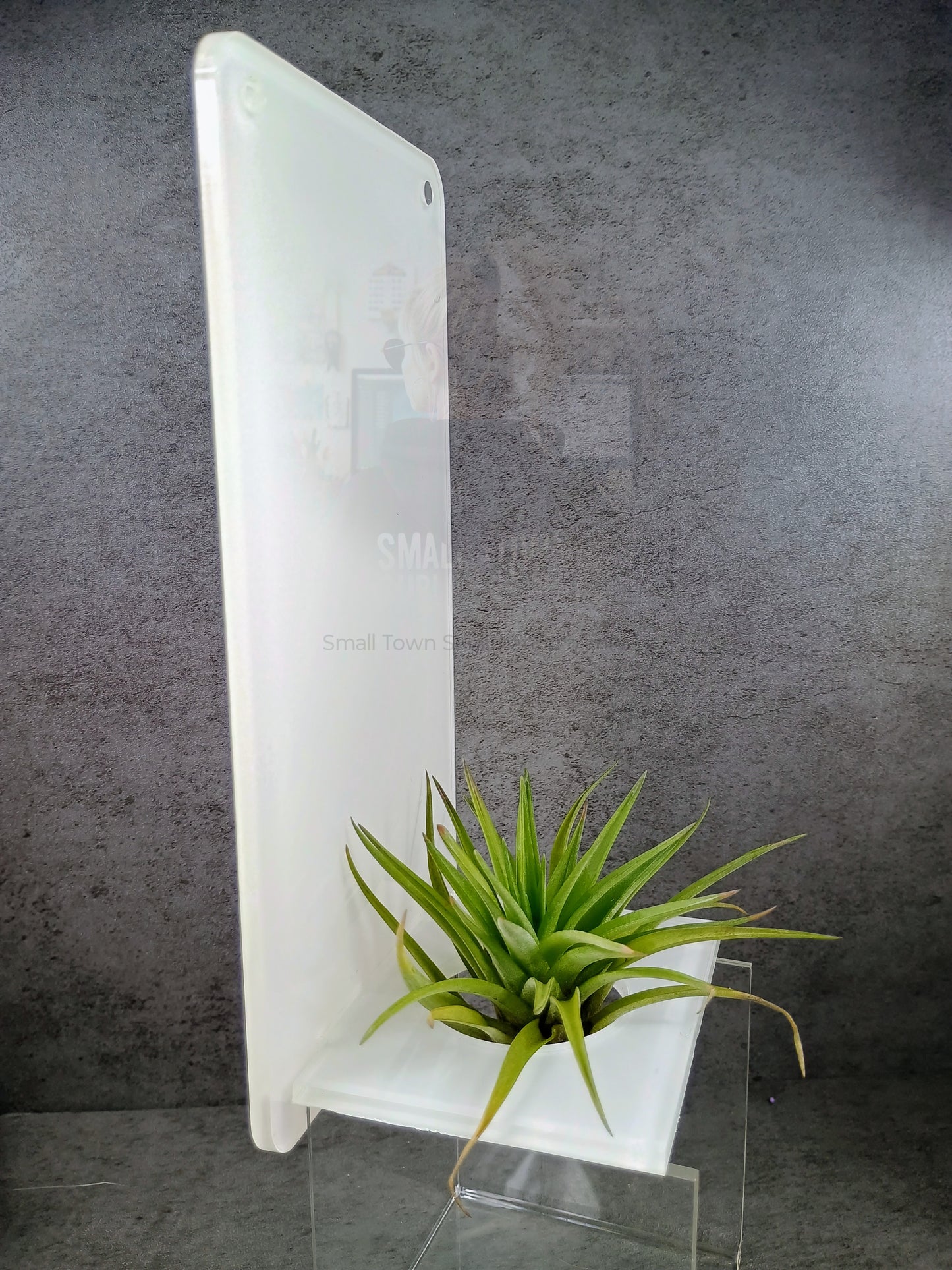 Rectangle acrylic Air plant holder