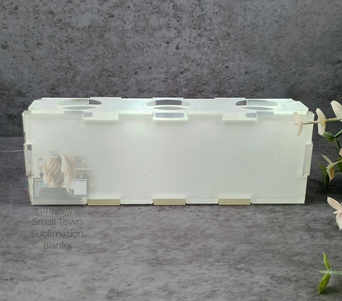 Box shelf sitter acrylic Air plant holder