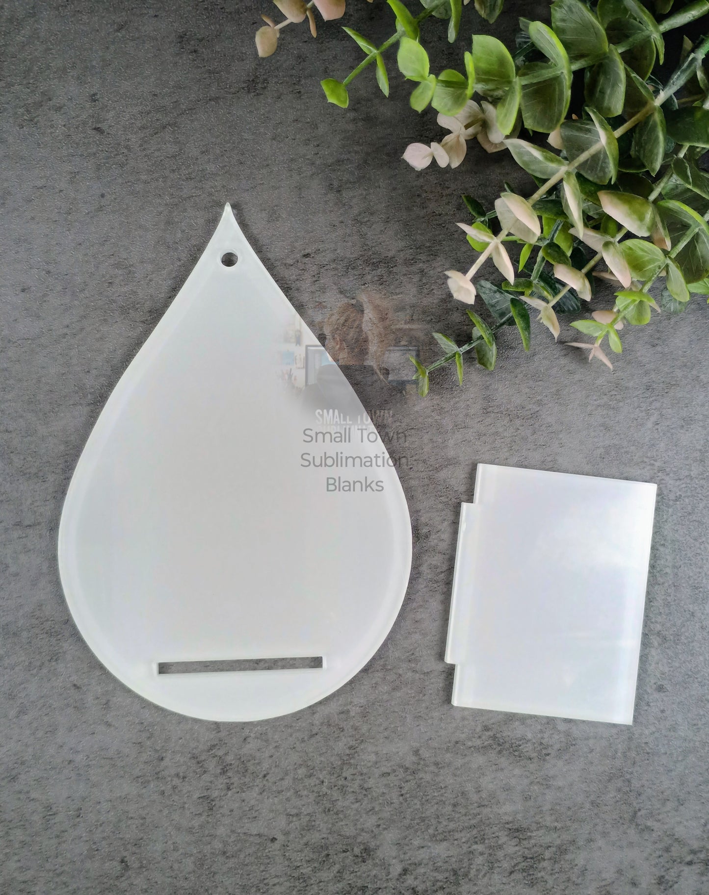 Teardrop acrylic Air plant holder.