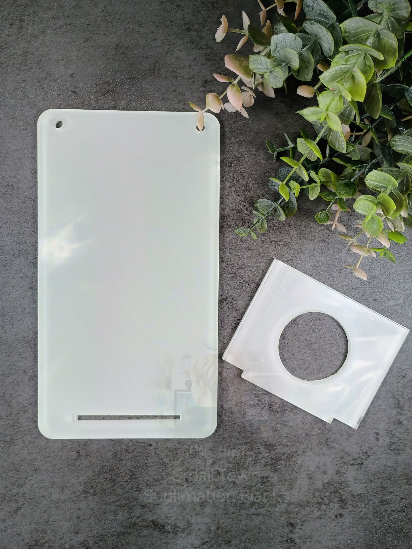 Rectangle acrylic Air plant holder
